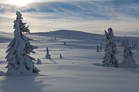 mortenh_smorli080214-854.jpg