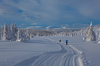 mortenh_smorli080214-858.jpg