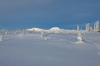 mortenh_smorli080214-859.jpg