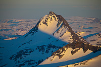 mortenh_storebjorn010614213.jpg