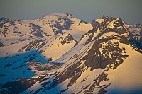 mortenh_storebjorn010614214.jpg