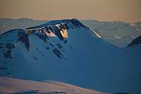 mortenh_storebjorn010614216.jpg
