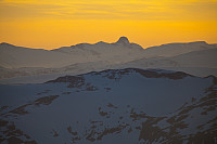 mortenh_storebjorn010614217.jpg