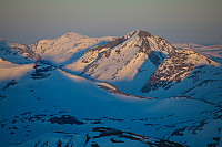 mortenh_storebjorn010614219.jpg