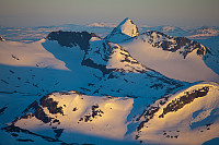 mortenh_storebjorn010614220.jpg