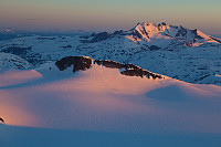 mortenh_storebjorn010614228.jpg