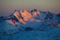 mortenh_storebjorn010614229.jpg