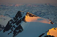 mortenh_storebjorn010614230.jpg