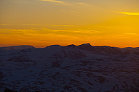 mortenh_storebjorn010614232.jpg