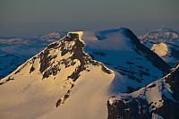 mortenh_storebjorn010614256.jpg