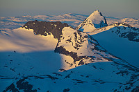 mortenh_storebjorn010614257.jpg