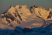 mortenh_storebjorn010614258.jpg