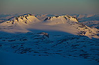 mortenh_storebjorn010614259.jpg