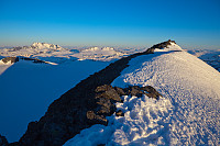mortenh_storebjorn010614262.jpg