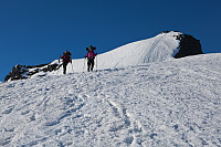 mortenh_storebjorn010614265.jpg
