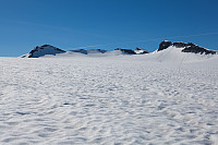 mortenh_storebjorn010614273.jpg