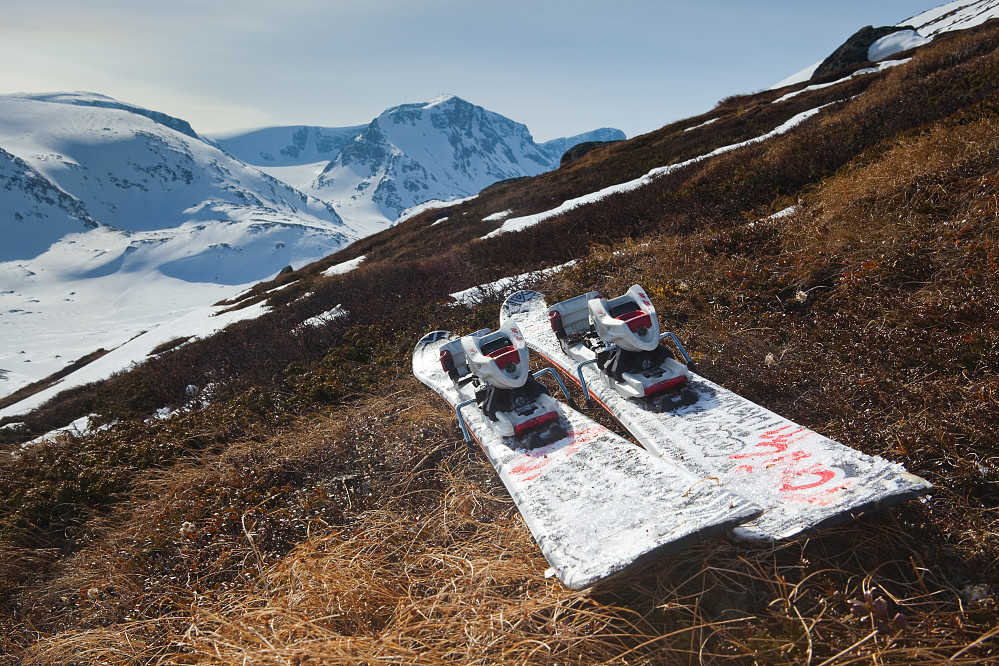 Skia som gjorde jobben i dag, men tror aldri rando blir helt min greie. Trives stort sett best på fjellski jeg.