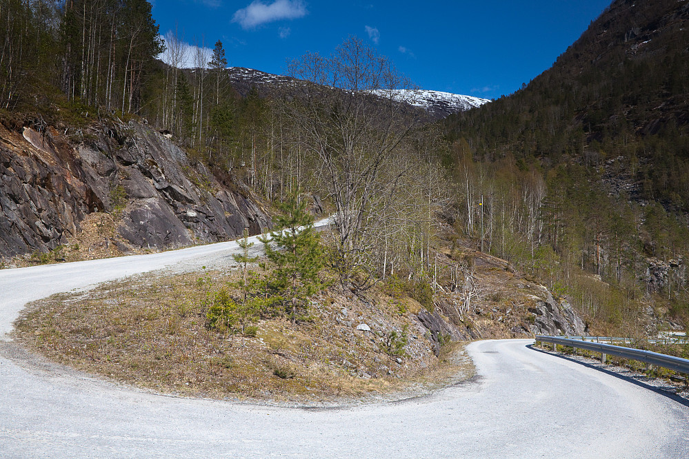 Veien opp Vigdalen.