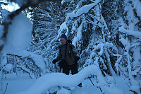 mortenh_vehus291213815.jpg