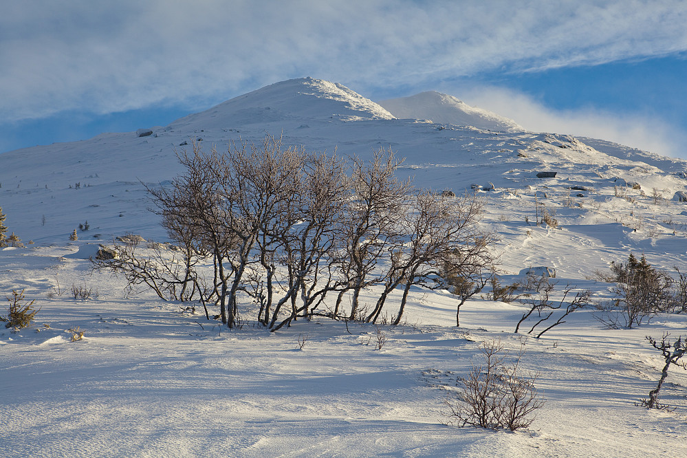 Flott fjell denna.