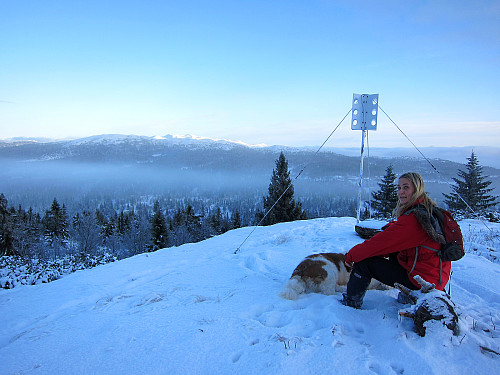 Venke og hunden på toppen av Kollhaugen (1034 moh).