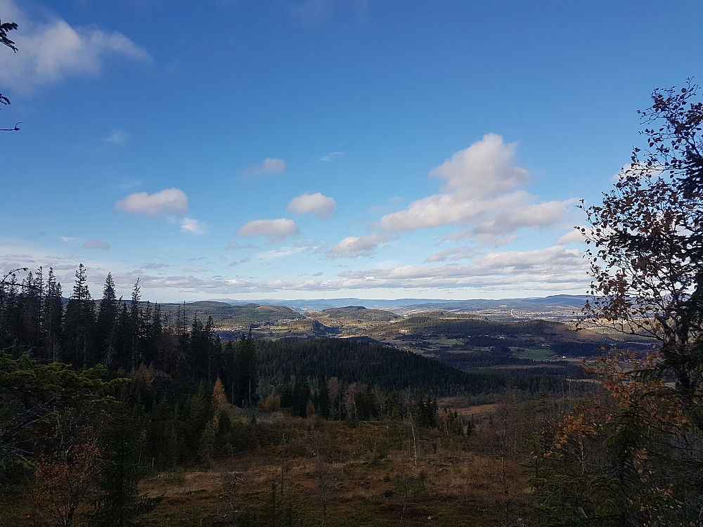På vei ned. Skogsveien starter i nedre venstre hørnet på hygget tror jag.