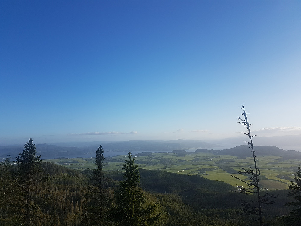 Høgpeilen