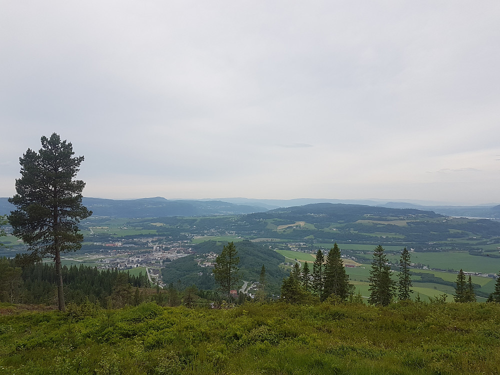 Fin utsikt vid den lava svartåsen på grund av hogstfeltet.