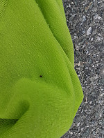 fredriks_20220713_62cf16804706e.jpg