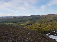 fredriks_20220714_62cfe3add7483.jpg
