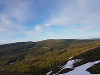 fredriks_20220714_62cfe3b193ea0.jpg