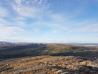 fredriks_20220714_62cfe3c21841b.jpg