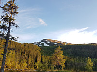 fredriks_20220714_62cfe3e924064.jpg