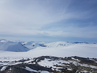 fredriks_20220714_62cff059dfed2.jpg