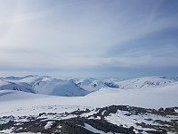 fredriks_20220714_62cff05b69efe.jpg
