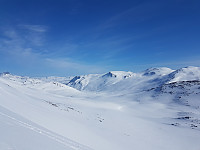 fredriks_20220714_62cff21a5dd2a.jpg