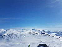 fredriks_20220714_62cff22247b14.jpg