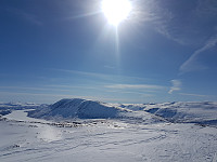fredriks_20220714_62cff223d90a2.jpg