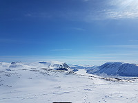 fredriks_20220714_62cff225835e4.jpg