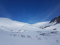 fredriks_20220714_62cff22a498ed.jpg
