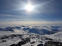 fredriks_20220714_62cff2ce4f41e.jpg