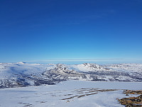 fredriks_20220714_62cff2d1508fb.jpg