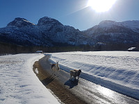 fredriks_20220714_62cff3792d154.jpg