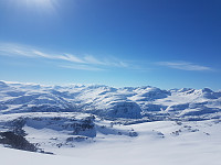 fredriks_20220714_62cff37fbb54e.jpg