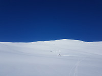 fredriks_20220714_62cff386de392.jpg