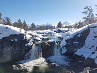 fredriks_20220714_62cff400d6f95.jpg
