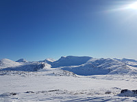 fredriks_20220714_62cff4046a0ac.jpg