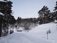 fredriks_20220714_62cff5927e1cd.jpg