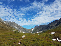 fredriks_20220720_62d7fd5758f5d.jpg