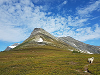 fredriks_20220720_62d7fd5981968.jpg